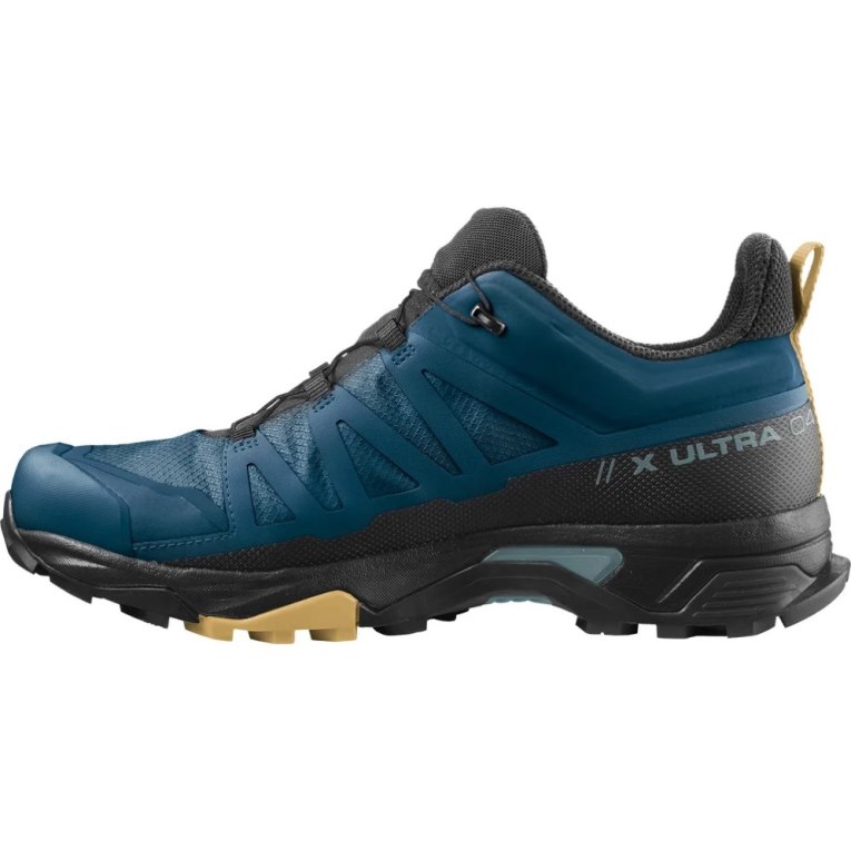 Tênis De Caminhada Salomon X Ultra 4 GTX Masculino Azuis Pretas | PT F42153